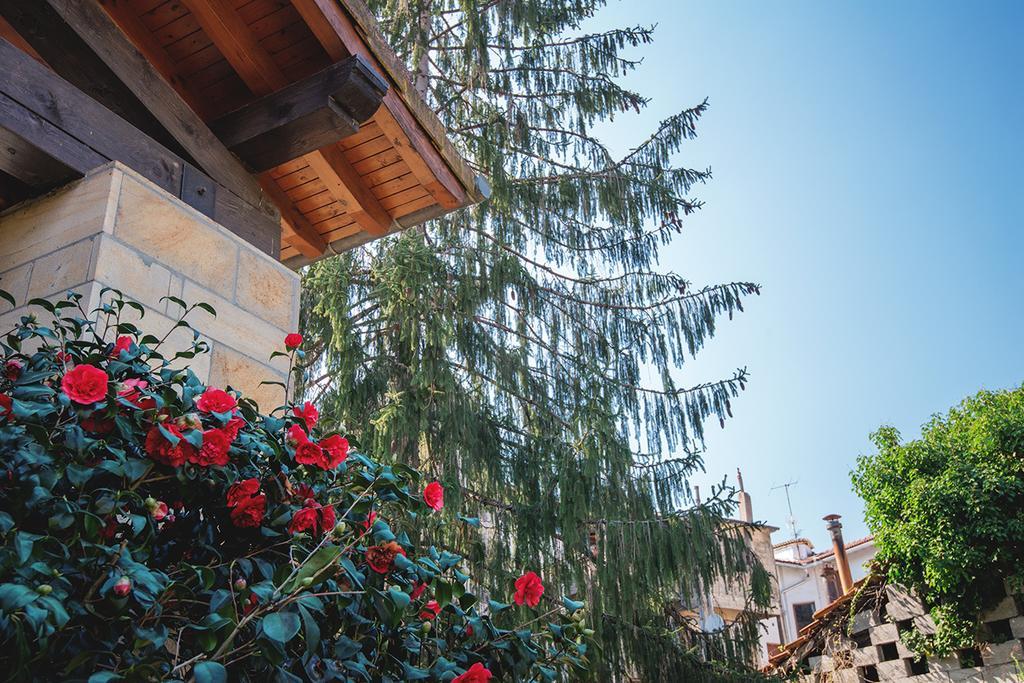 Hotel Konbenio Amorebieta-Etxano Extérieur photo